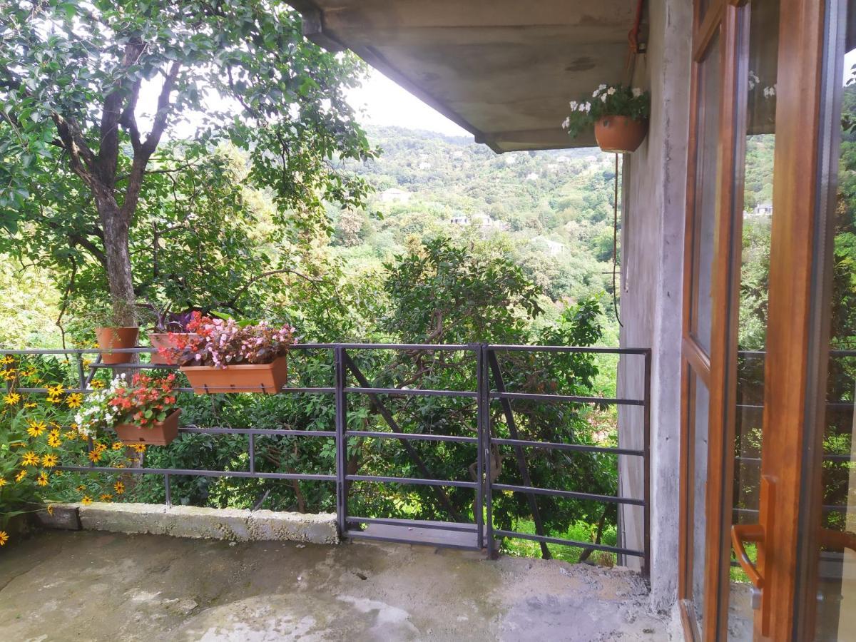 Villa 53 Jincharadze Street Makhinjauri, Batumi Esterno foto