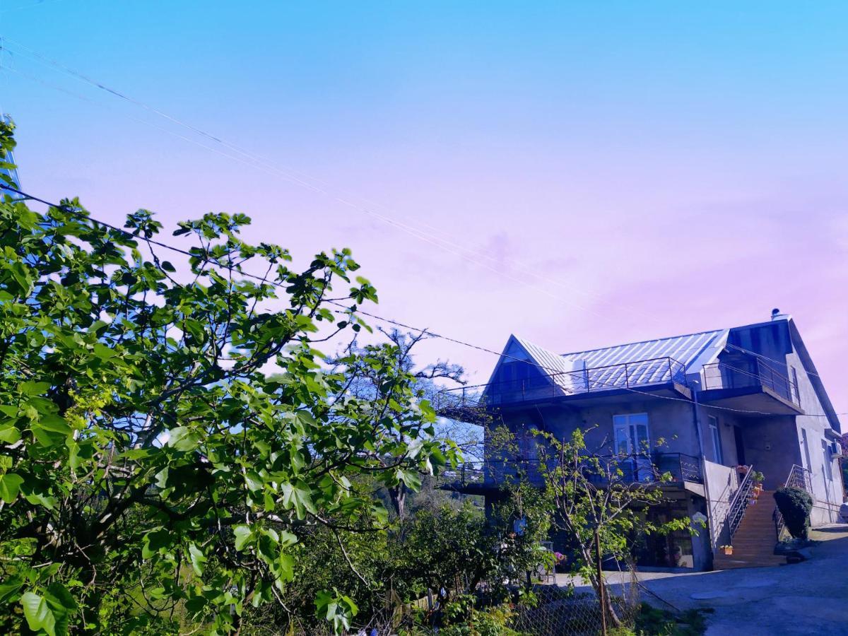 Villa 53 Jincharadze Street Makhinjauri, Batumi Esterno foto